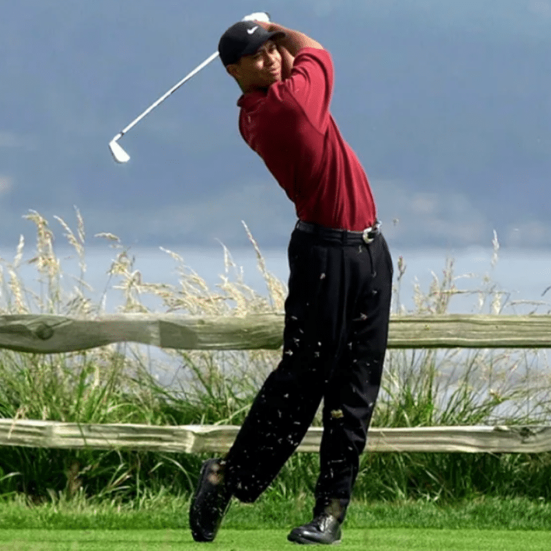 Tiger Woods