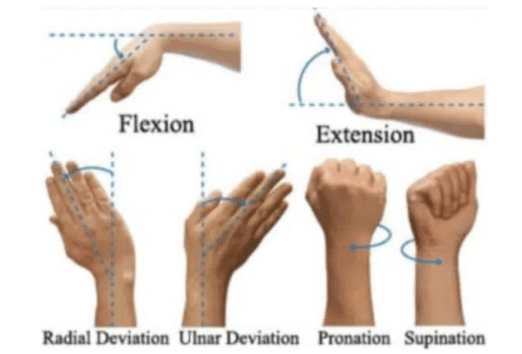 In this image we have wrist flexion, wrist extension, ulnar deviation and radial deviation, plus pronation and supination, all of which can lead to or take away from golf swing rotation, achieve consistency, timing, tension, and numerous other position factors in the golf swing.